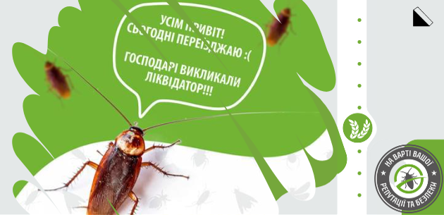 30 народных способов избавиться от тараканов | «Дез-А-Сервис» Калининград