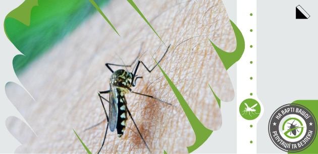 Укуси комарів: причини свербіння та алергії