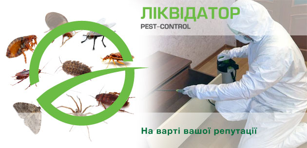 Як відбувається обробка приміщень від комах-шкідників?
