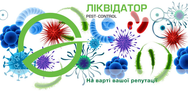 Процес знищення бактерій і вірусів