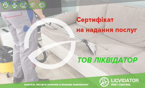 /upload/iblock/918/91865a31199ed91839fb534b5307028b.jpg
