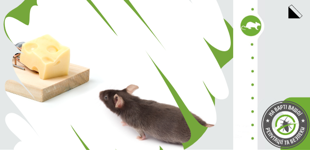 Электрическая ловушка для мышей и крыс (грызунов)