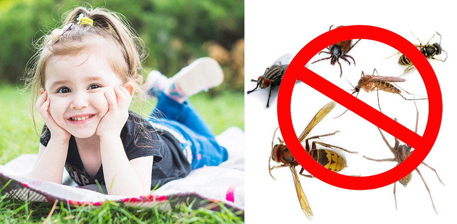 Чи реально вберегтися від укусів комах влітку?