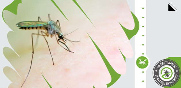 Ліквідатор знищіть комарів, які дратують вас