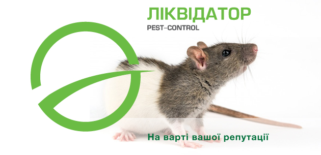 Пацюки, щури і миші