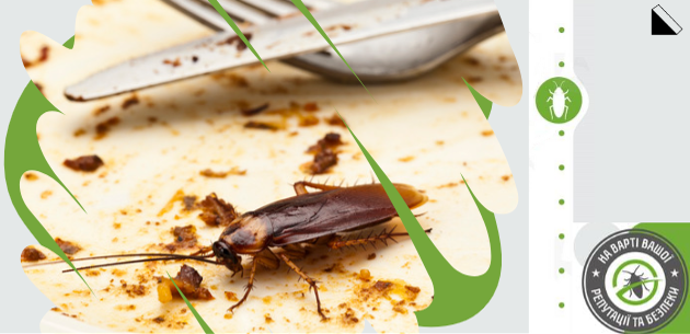Помогает ли нашатырный спирт от тараканов?