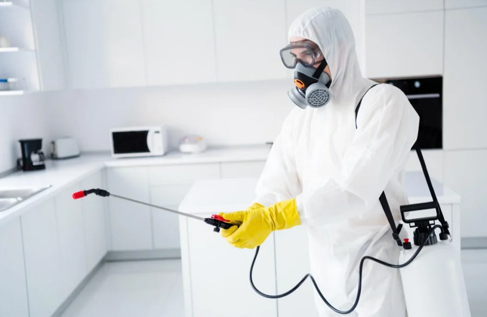 1RNL2HF1.png 1RNL2HF1.png