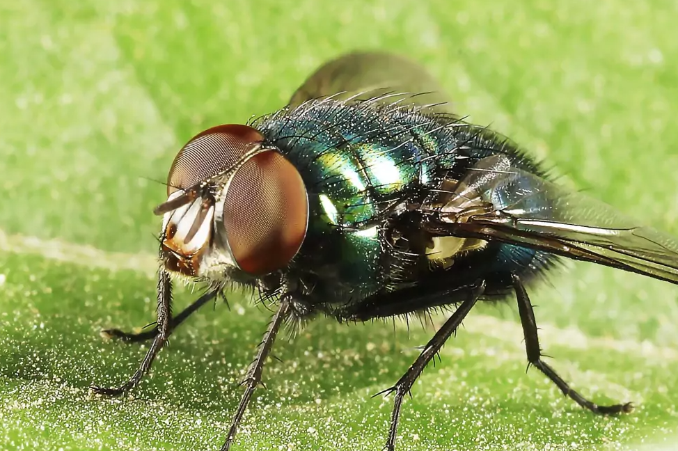 1RNLNZO.png 1RNLNZO.png