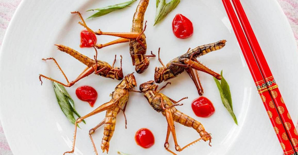 Поїдання комах: революція в американській дієті