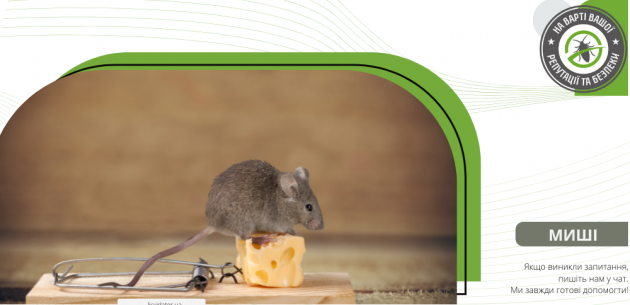 Миші не люблять сир
