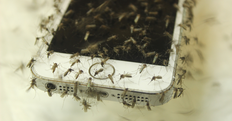 Ваш смартфон не зупинить укуси комах