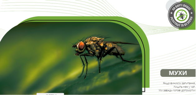 Чому мухи вважаються потенційно небезпечними
