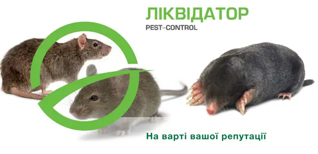  Ліквідатор 