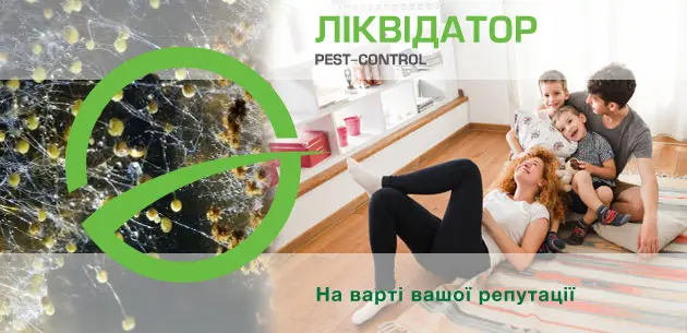 Усунення цвілі в квартирі 